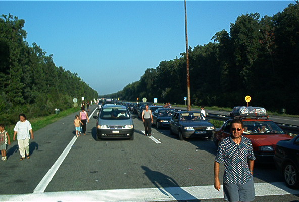 roste925.jpg