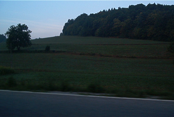 roste934.jpg