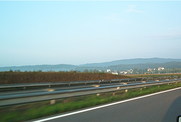 roste939.jpg
