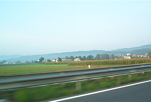roste940.jpg