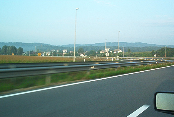 roste941.jpg