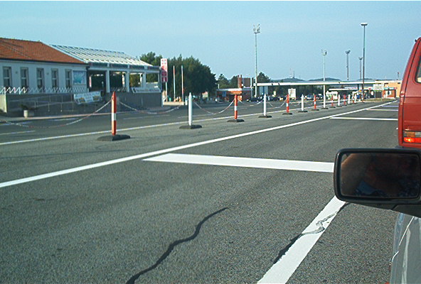 roste943.jpg