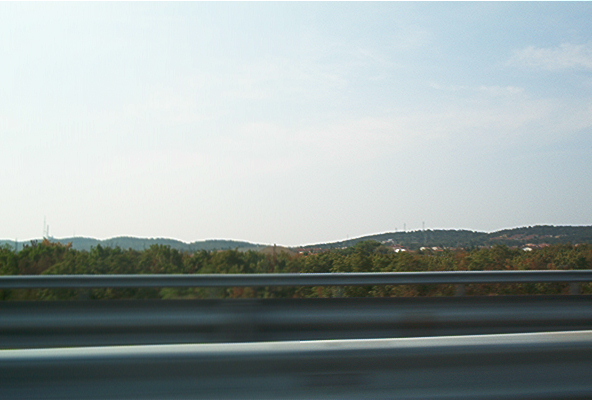 roste944.jpg