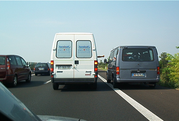 roste952.jpg