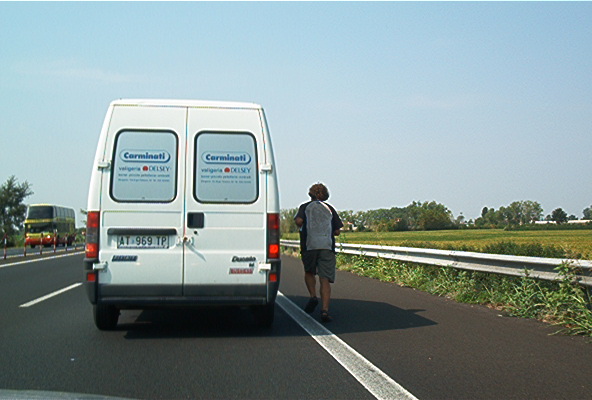 roste953.jpg