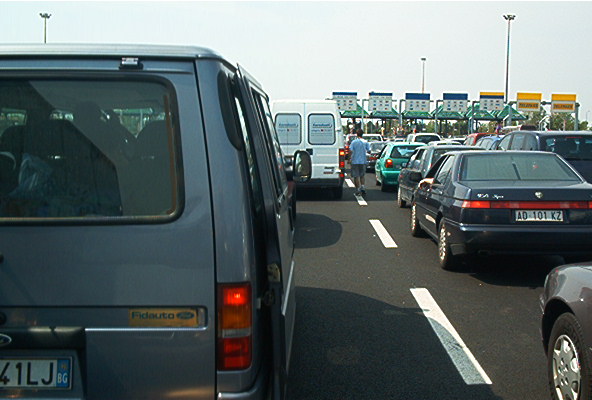 roste955.jpg