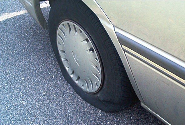 roste959.jpg