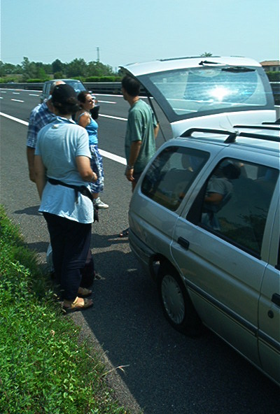 roste960.jpg