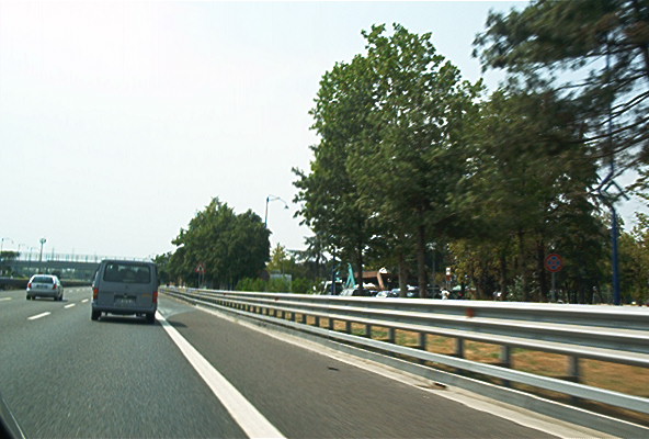 roste961.jpg