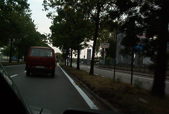 roste965.jpg