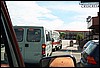 roste018.jpg