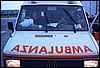 roste033.jpg