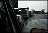 roste040.jpg