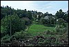 roste042.jpg