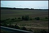 roste043.jpg
