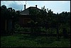 roste044.jpg