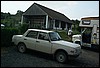 roste050.jpg