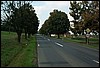 roste054.jpg