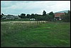 roste060.jpg