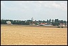 roste062.jpg
