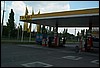 roste068.jpg