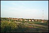 roste071.jpg