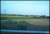 roste072.jpg
