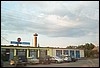 roste073.jpg