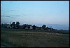 roste080.jpg
