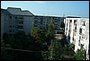 roste096.jpg