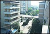roste098.jpg