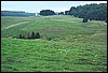 roste168.jpg