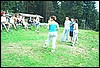 roste199.jpg