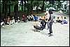 roste208.jpg