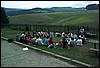 roste222.jpg