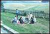 roste251.jpg