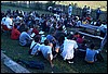 roste253.jpg