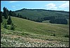 roste282.jpg