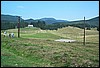 roste290.jpg