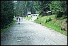 roste295.jpg
