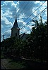 roste315.jpg