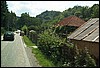 roste316.jpg