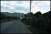 roste317.jpg
