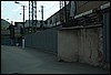 roste319.jpg