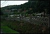 roste324.jpg