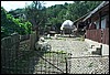 roste328.jpg