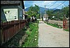 roste332.jpg
