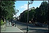 roste354.jpg