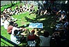 roste409.jpg