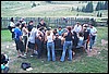 roste429.jpg